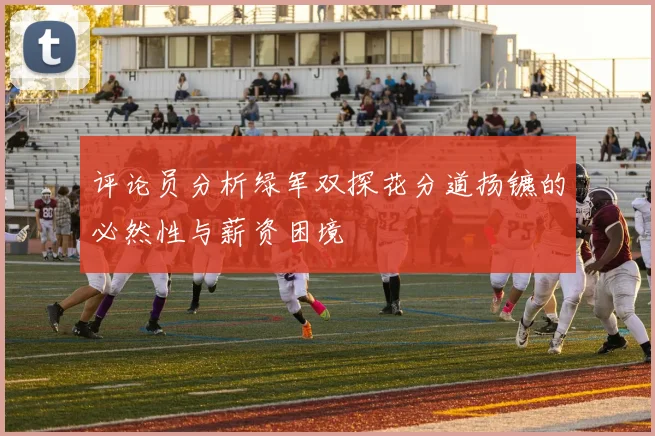 评论员分析绿军双探花分道扬镳的必然性与薪资困境