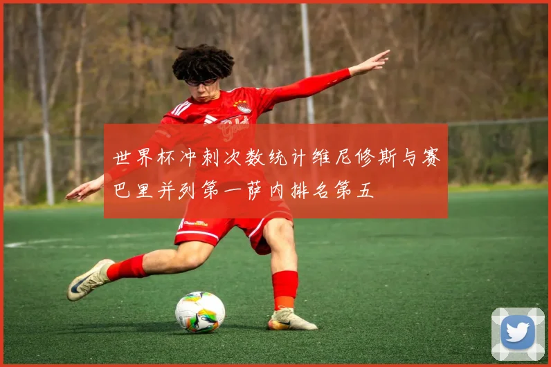 世界杯冲刺次数统计维尼修斯与赛巴里并列第一萨内排名第五
